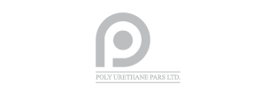 Poly-Logo-client5